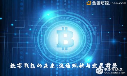 数字钱包的未来：流通现状与发展前景
